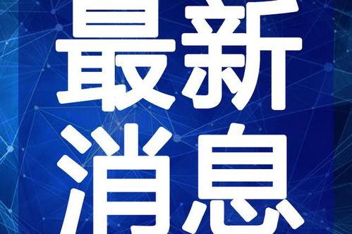 薯片大哥爆料视频大全最新,揭秘视频大全背后的精彩瞬间